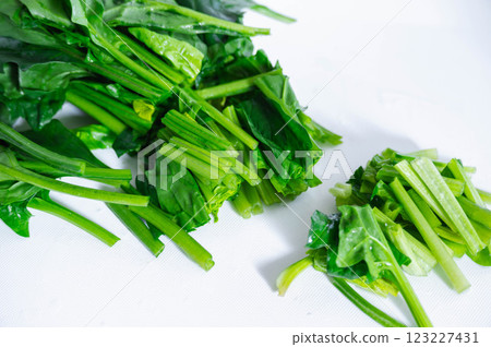 菠菜要切好 菠菜要切好 123227431