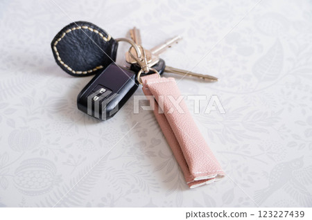 Spring-colored coin purse and key holder 123227439