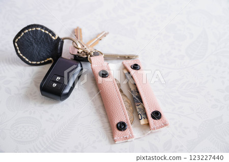 Spring-colored coin purse and key holder 123227440