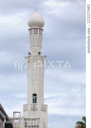 Noor-e-Islam Mosque in Saint Denis de La Reunion 123227465