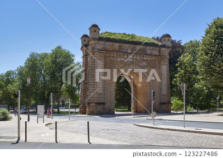 The Serpenoise Gate in Metz 123227486