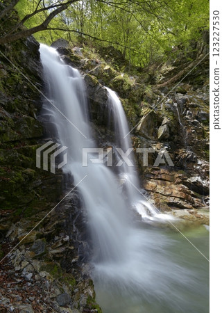 Photographing Ninotaki Falls in Ishikawa River Valley, Hokuto City, Yamanashi Prefecture, during Golden Week, when fresh greenery is in full bloom Photographing Ninotaki Falls in Ishikawa River Valley, Hokuto City, Yamanashi Prefecture, during Golden Week, when fresh greenery is in full bloom 123227530