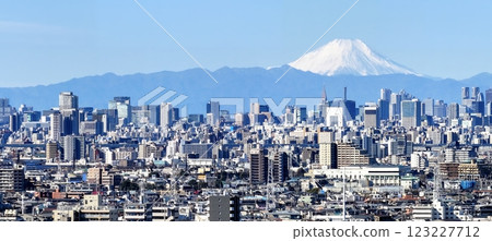 “東京”東京的摩天大樓和富士山城景觀 123227712