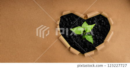 Environmental Care Concept. Plant a Tree inside Heart Shape. Sustainable Resources. World Earth Day Environmental Care Concept. Plant a Tree inside Heart Shape. Sustainable Resources. World Earth Day 123227727