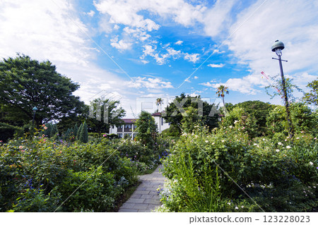 海港景觀公園的夏天 123228023