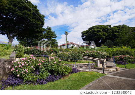 Summer at Harbor View Park 123228042