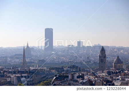 Aerial view of Paris with the Tour Montparnasse dwarfing the surrounding buildings Aerial view of Paris with the Tour Montparnasse dwarfing the surrounding buildings 123228044