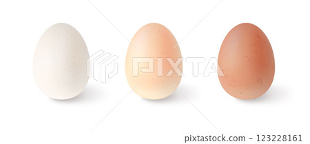 Set of realistic chicken eggs. Vector illustration isolated on white background 123228161