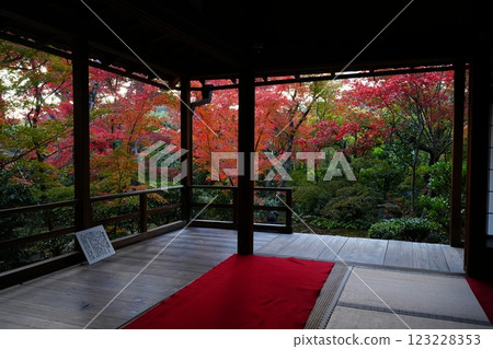 View of autumn leaves from a Japanese-style room at Daihoin Temple 123228353
