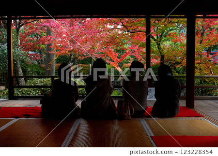 View of autumn leaves from a Japanese-style room at Daihoin Temple 123228354