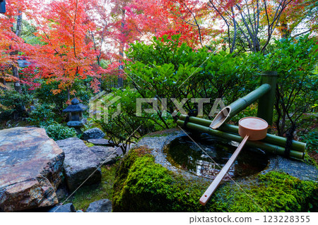 從大寶院的日式房間欣賞秋葉 123228355