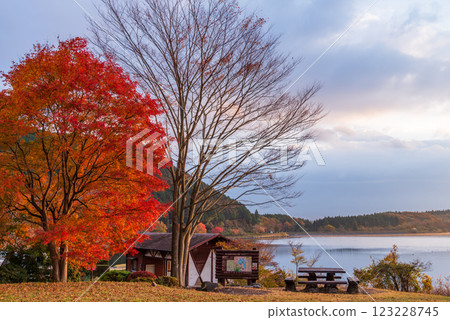 【靜岡縣】田貫湖：湖畔的紅葉 123228745