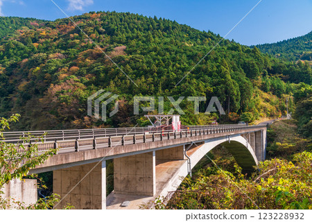 [Shizuoka Prefecture] Autumn at Sutsugawa Valley and Valley Bridge (Bungee Jump Platform) 123228932
