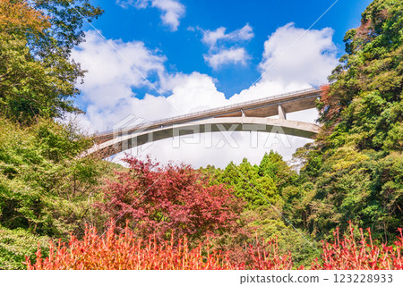 [靜岡縣] 秋天的須津川溪谷和溪谷橋（蹦極台） 123228933