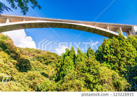 [靜岡縣] 秋天的須津川溪谷和溪谷橋（蹦極台） 123228935
