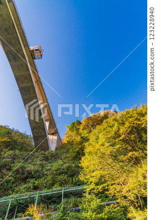 [Shizuoka Prefecture] Autumn at Sutsugawa Valley and Valley Bridge (Bungee Jump Platform) 123228940