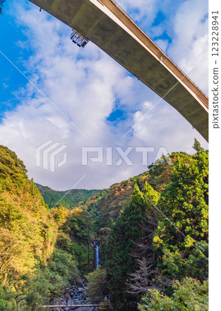 [Shizuoka Prefecture] Autumn at Sutsugawa Valley and Valley Bridge (Bungee Jump Platform) 123228941