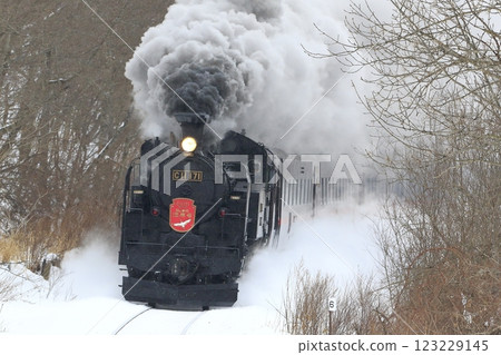 Kushimonomi Line SL 123229145