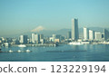 Fuji from Yokohama Bay Bridge 123229194