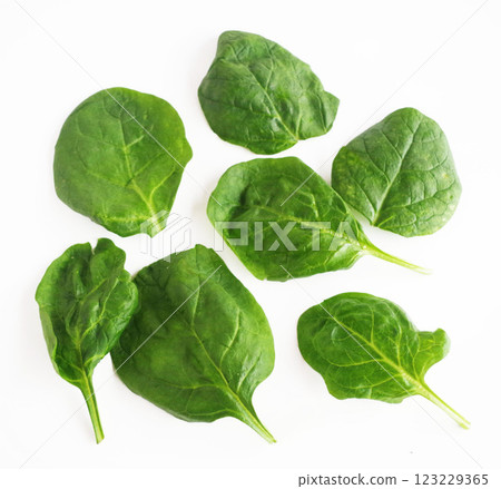 菠菜葉 蔬菜 葉 葉菜類 菠菜 義大利 菠菜葉 蔬菜 葉 葉菜類 菠菜 義大利 123229365