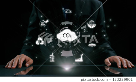 Net Zero Ambition: Strategies to Reduce CO2 for Sustainable Future UUID 123229901
