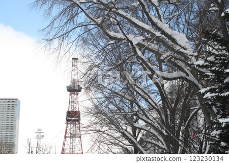 札幌電視塔在冬天 123230134