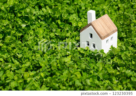 Housing image 123230395