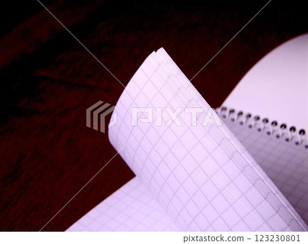 Blank pages of a notebook close view background 123230801
