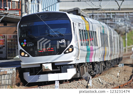 中央幹線上野原JR東日本E257系M-111編組(松本)梓海司 中央幹線上野原JR東日本E257系M-111編組(松本)梓海司 123231474