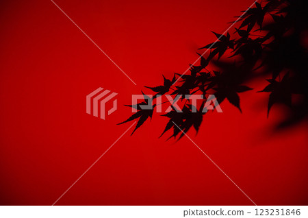 明亮的紅楓葉的特寫 明亮的紅楓葉的特寫 123231846