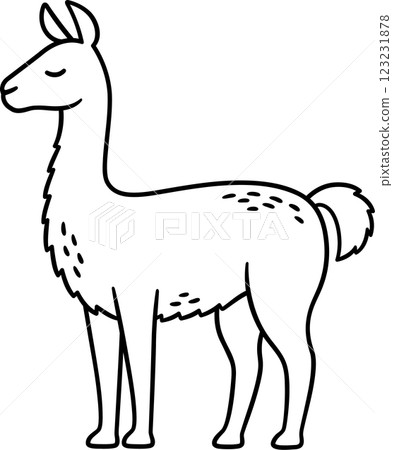 Guanaco vector line art drawing Guanaco vector line art drawing 123231878