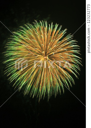 Yamagata Oishida Festival Mogami River Fireworks Display Yamagata Oishida Festival Mogami River Fireworks Display 123232773