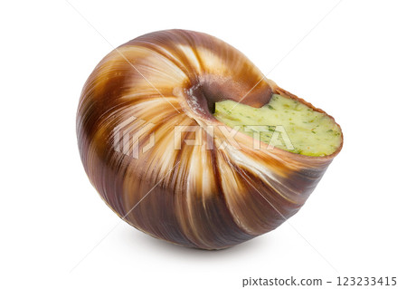 escargot snail filled with garlic and parsley butter isolated on white background 123233415