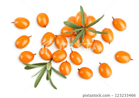 Sea buckthorn. Fresh ripe berry with leaves isolated on white background. Top view. Flat lay Sea buckthorn. Fresh ripe berry with leaves isolated on white background. Top view. Flat lay 123233466