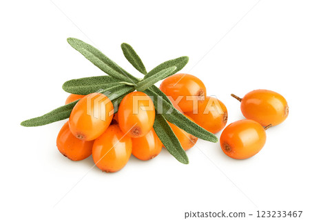 Sea buckthorn. Fresh ripe berry with leaves isolated on white background macro Sea buckthorn. Fresh ripe berry with leaves isolated on white background macro 123233467