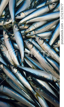 Small fish background. Fresh catch. Vertical layout 123233677