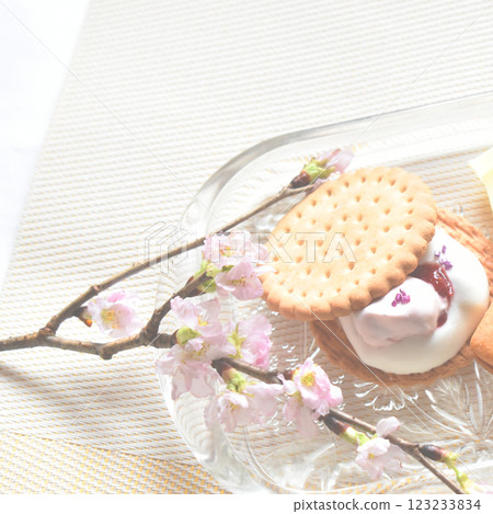 Cherry blossoms and spring cherry blossom sweets White chocolate assortment Cherry blossoms and spring cherry blossom sweets White chocolate assortment 123233834