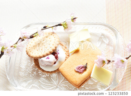 Cherry blossoms and spring cherry blossom sweets White chocolate Cherry blossoms and spring cherry blossom sweets White chocolate 123233850