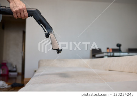 The Professional Upholstery Cleaning Process Ensures a Fresh Look in Your Modern Living Room 123234243