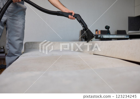 The Professional Upholstery Cleaning Process Ensures a Fresh Look in Your Modern Living Room 123234245