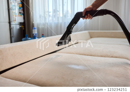 The Professional Upholstery Cleaning Process Ensures a Fresh Look in Your Modern Living Room 123234251