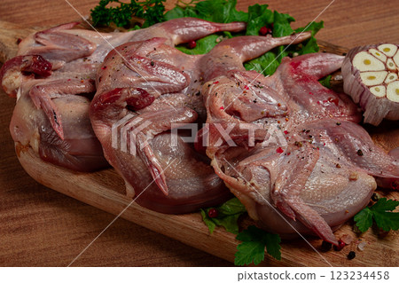 Raw quail meat, on a cutting board, with spices and herbs, top view, Raw quail meat, on a cutting board, with spices and herbs, top view, 123234458