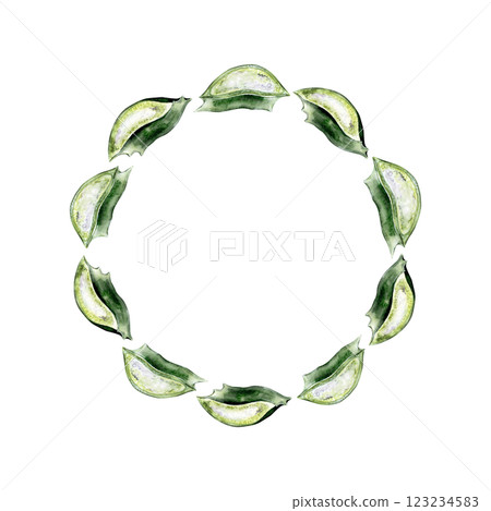 Watercolor wreath made of freshly cut aloe vera leaves Watercolor wreath made of freshly cut aloe vera leaves 123234583