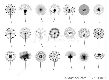 Dandelion silhouette. Nature flower seed. Flying delicate blossom or blowing black art design. Garden stem. Meadow botany. Summer blooming. Taraxacum plant. Vector floral elements set 123234813