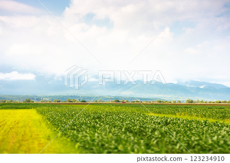 landscape with rural field. mountainous countryside of romania in summer. cloudy sky. beautiful view 123234910