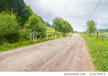 gravel road runs through rural landscape of transcarpathia. peaceful scenery with country way among forested hills. cloudy summer sky. forest on the hill 123234913