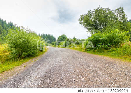 gravel road runs through rural landscape of transcarpathia. peaceful scenery with country way among forested hills. cloudy summer sky. vacatioon season gravel road runs through rural landscape of transcarpathia. peaceful scenery with country way among forested hills. cloudy summer sky. vacatioon season 123234914