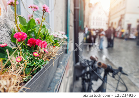 Flower pot pink daisies on window Bamberg old city center street ancient building house medieval facade design. Bayer traditional German architecture urban cityscape european landmark sunny day rain 123234920