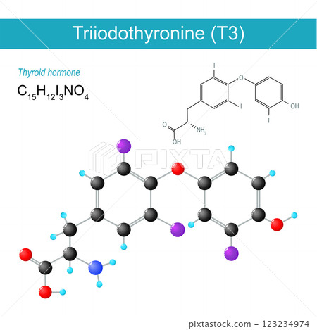 Triiodothyronine T3 molecule Triiodothyronine T3 molecule 123234974