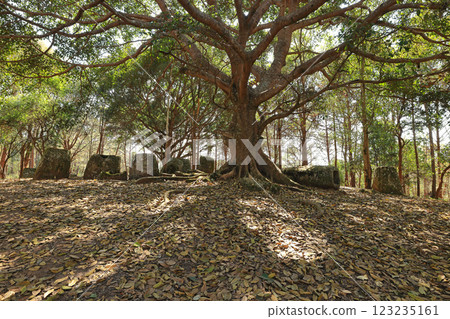 寮國石缸平原 2 號遺址 寮國石缸平原 2 號遺址 123235161